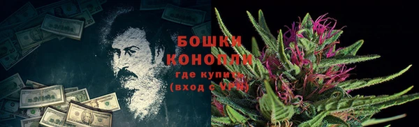 мяу мяу кристалл Няндома