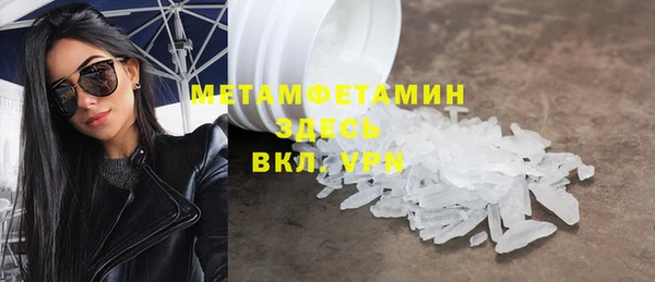 индика Новодвинск