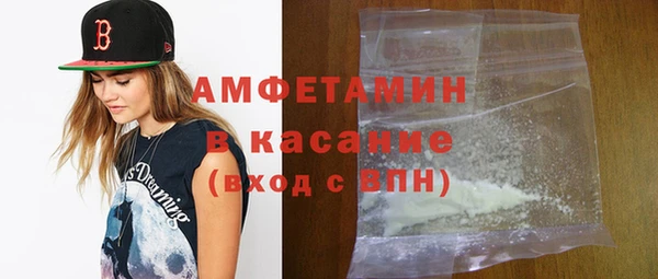 индика Новодвинск