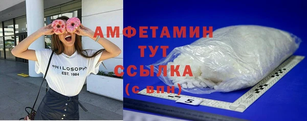 индика Новодвинск