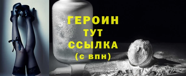 прущие грибы Гатчина