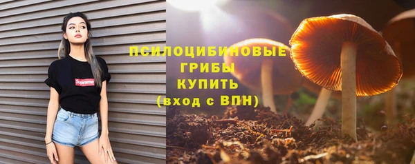 гидропоника Нязепетровск